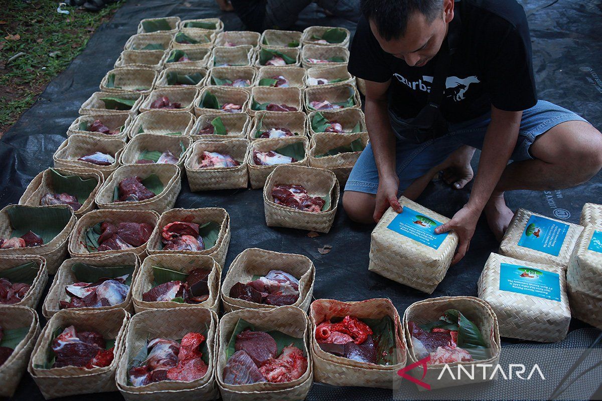 DLH DKI ajak masyarakat terapkan kurban ramah lingkungan