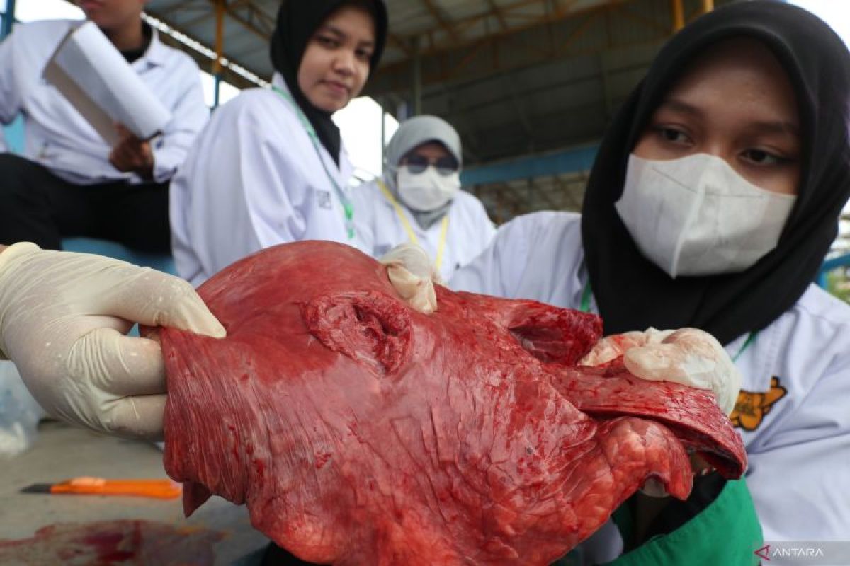 Mahasiswa USK supervisi hewan kurban di Kota Banda Aceh, aman dikonsumsi