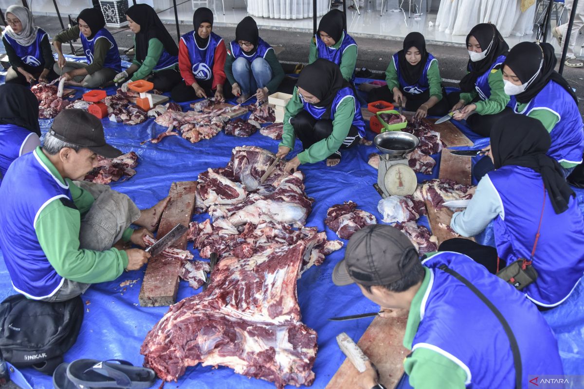 7 tips ampuh bersihkan jeroan daging kurban agar tidak berbau