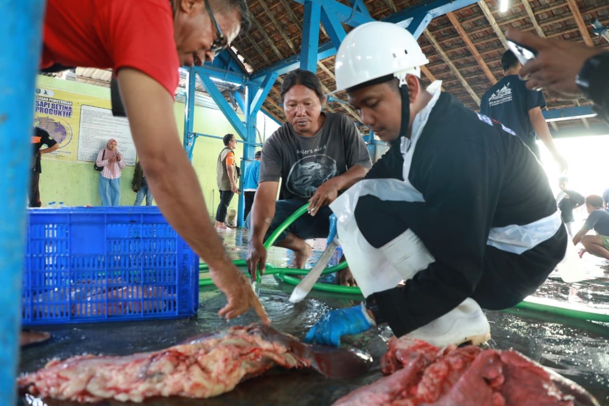 Kota Madiun periksa daging kurban setelah proses penyembelihan
