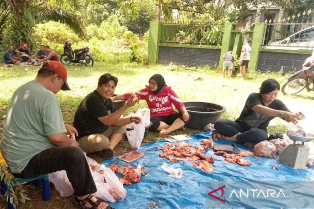 Wartawan kota Medan bersama komunitas kreatif sembelih dua sapi