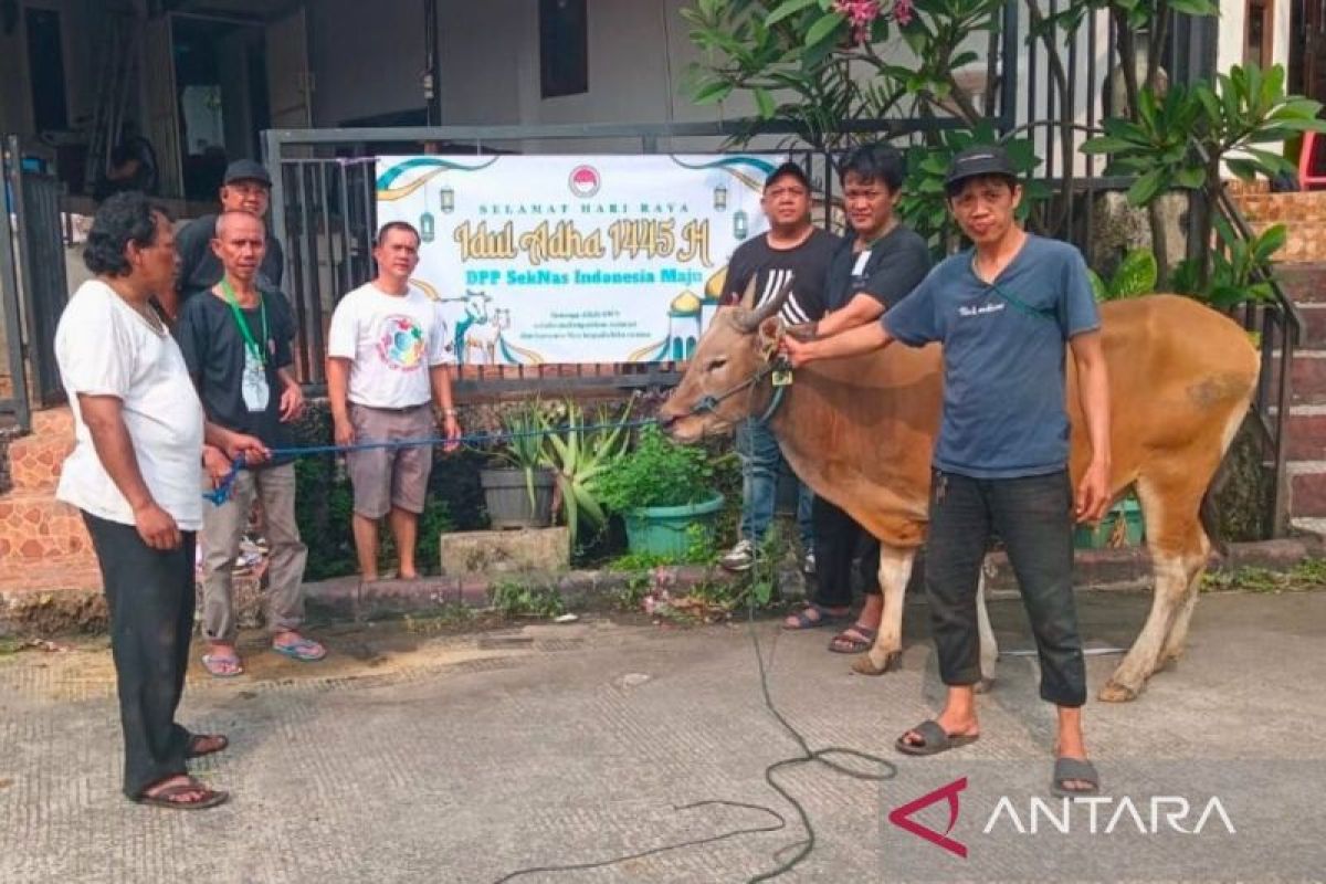 Seknas Indonesia Maju: Idul Adha momentum kebersamaan hadapi pilkada