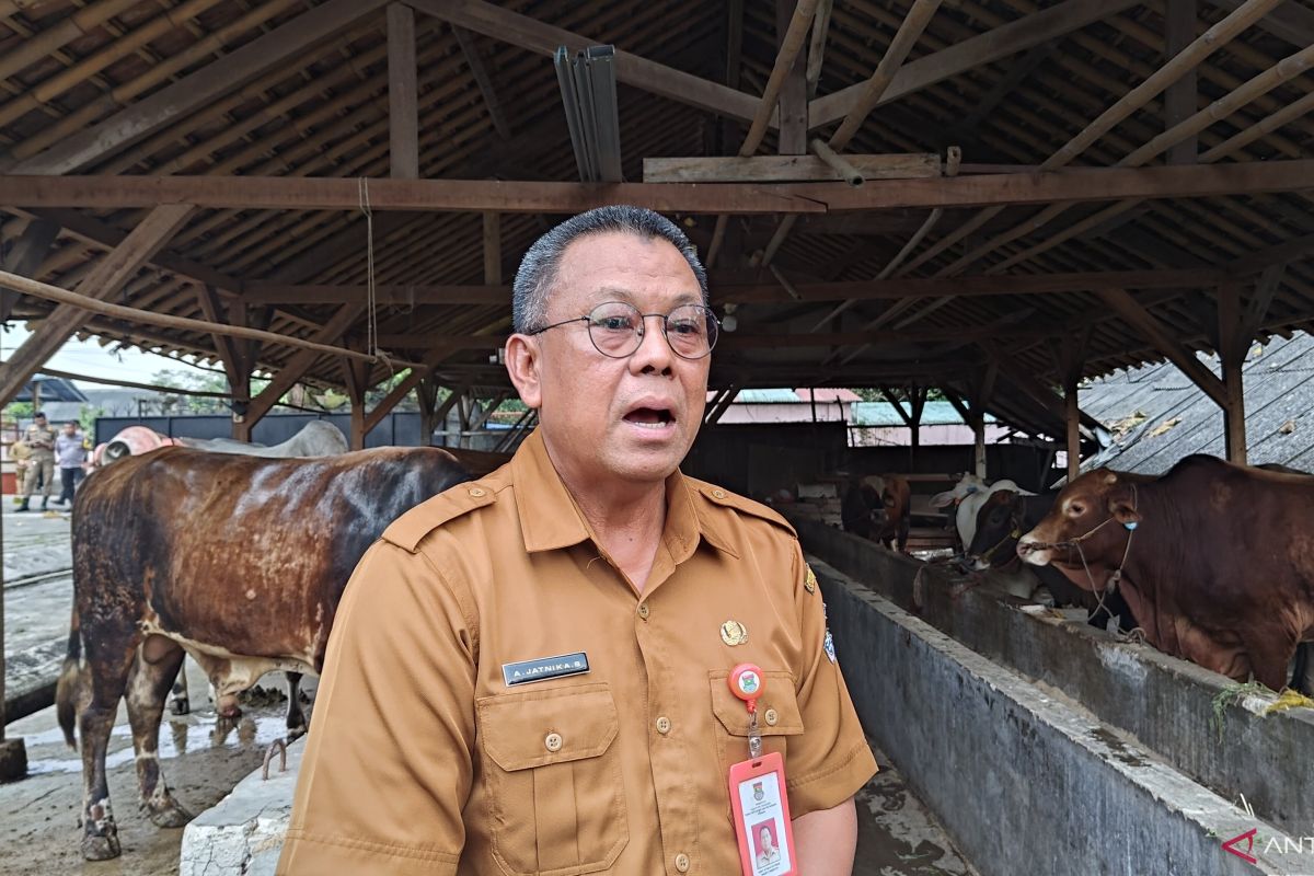 4.747 ekor hewan kurban disembelih saat Idul Adha di Tangerang