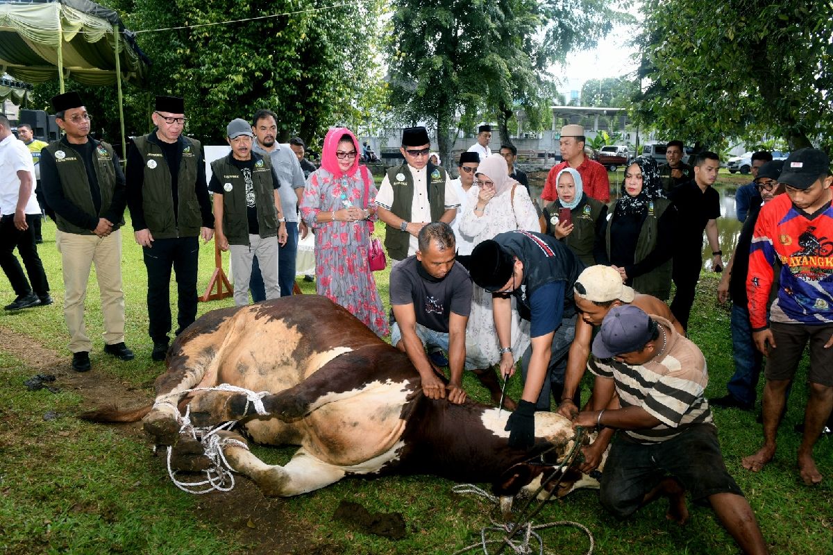 Pemprov Sumut bagikan daging kurban  kepada 2.450 warga Kota Medan