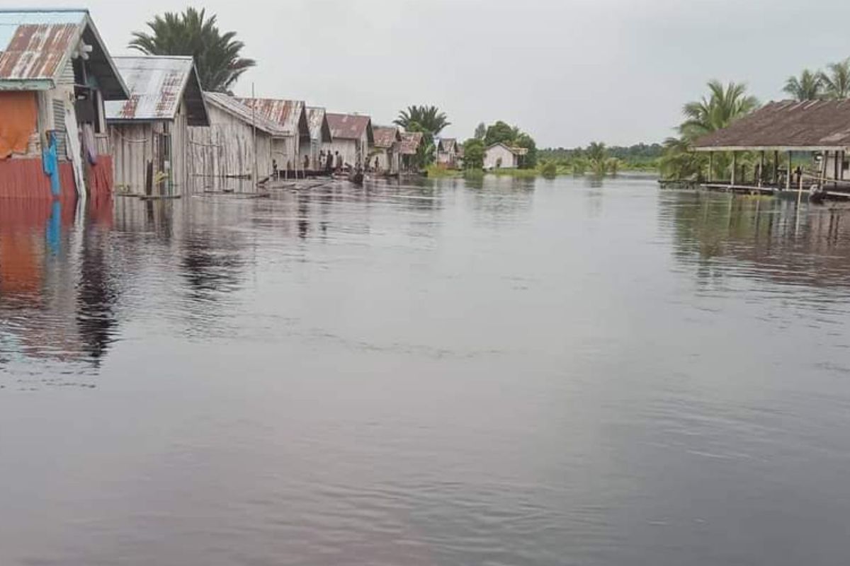 Banjir rendam 330 rumah warga di Sorong Selatan