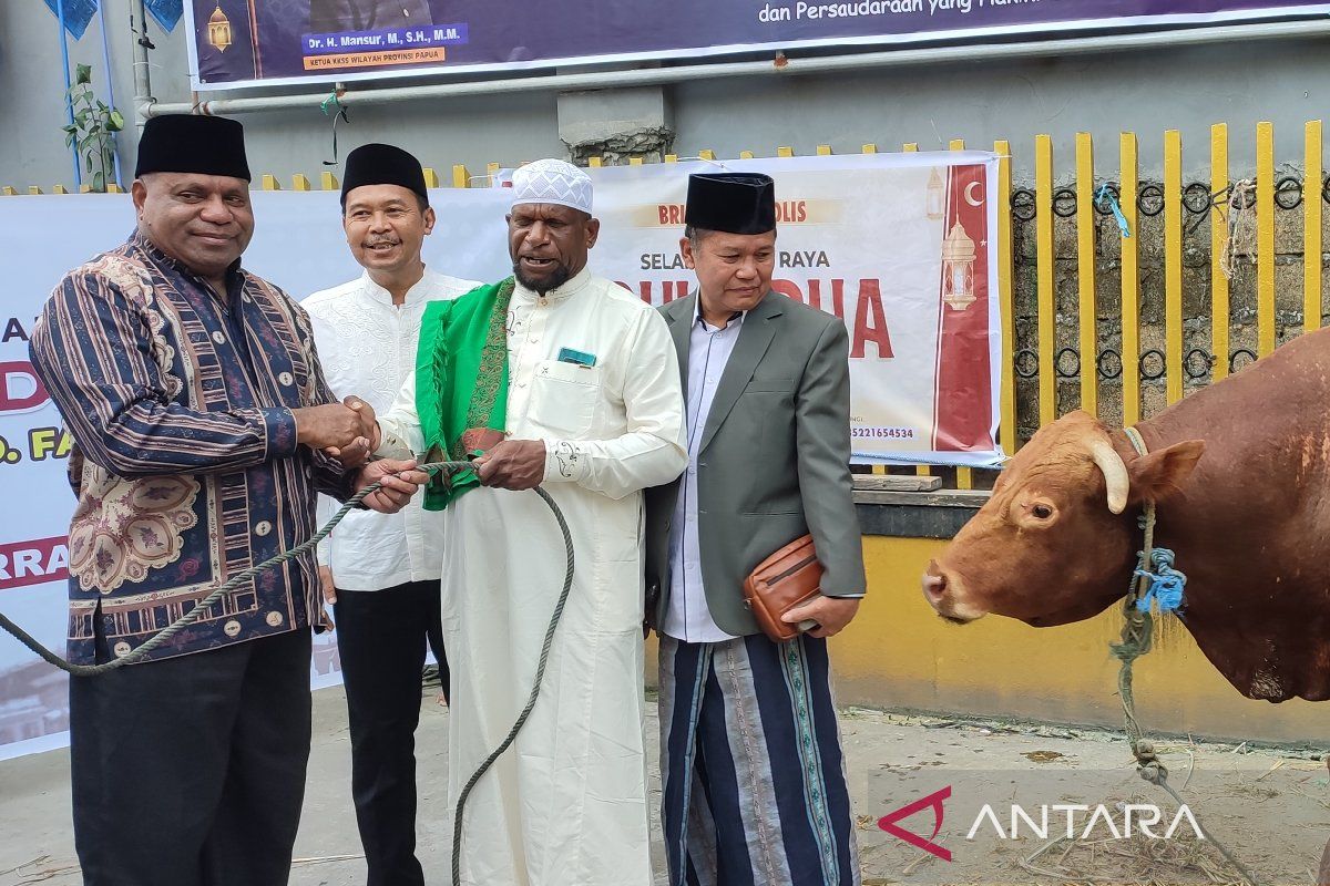 Pengurus Masjid: Non Muslim di Jayapura tetap mendapat daging kurban