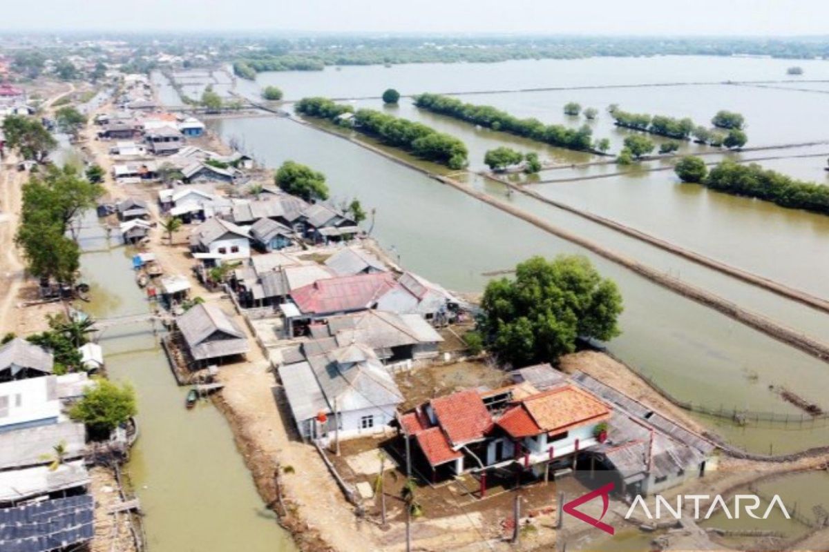 14.000 hektare lahan kawasan hutan Muaragembong Bekasi menanti sertifikasi