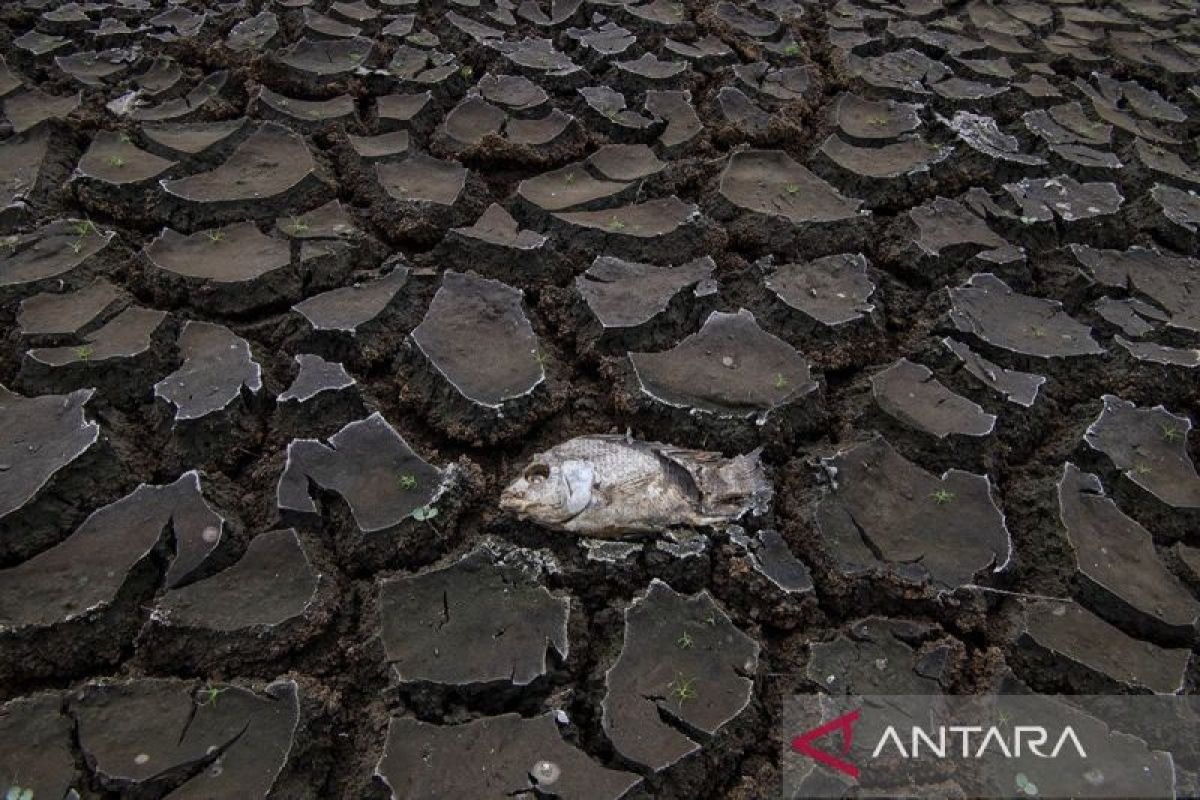 Iran alami krisis air