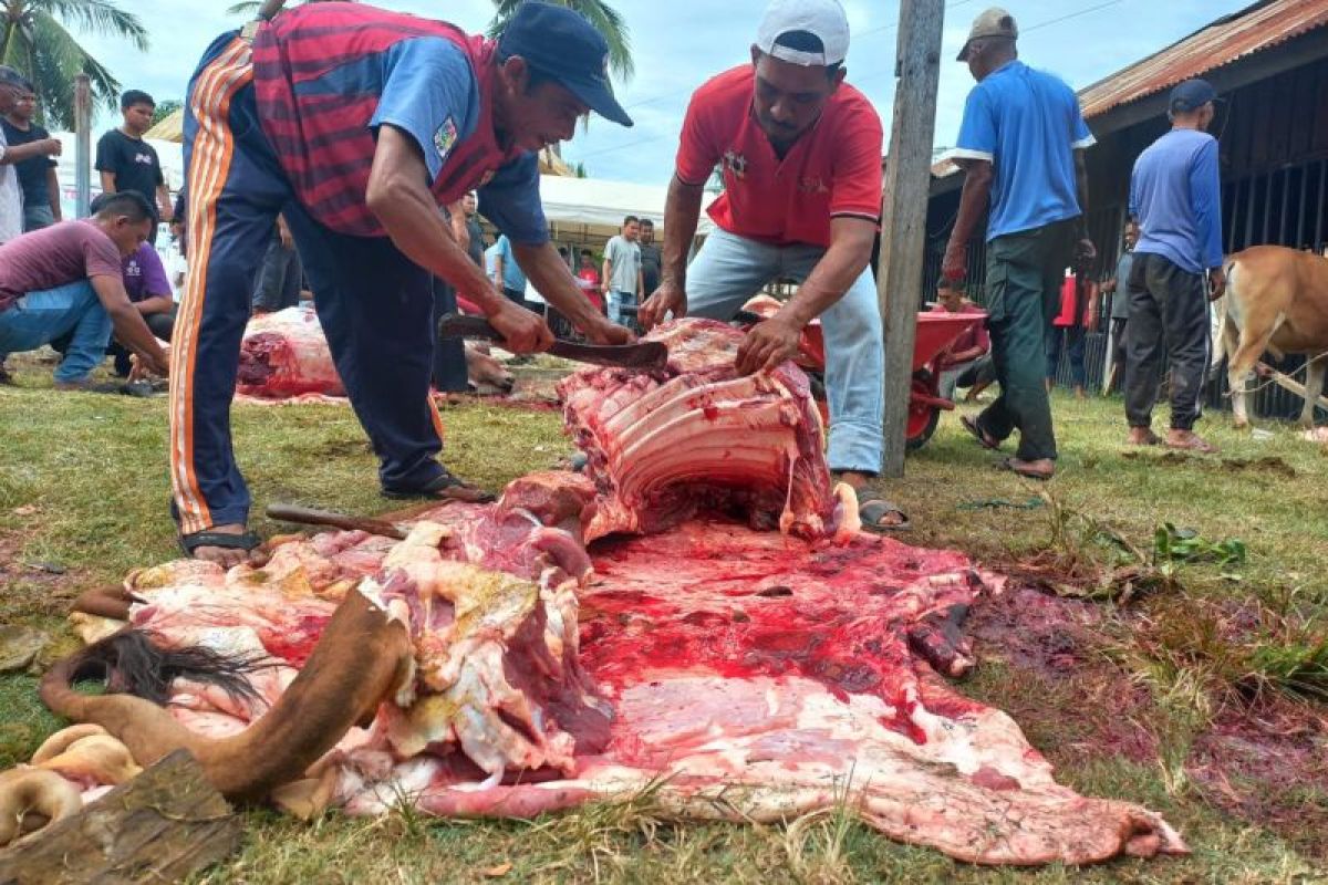 Pesantren di Aceh sembelih puluhan hewan kurban bantuan Singapura dan Turki