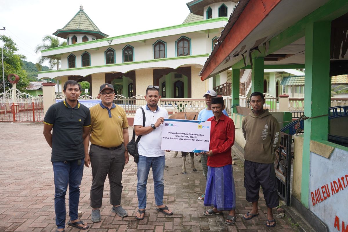 Rayakan Idul Adha 1445 H, PLN salurkan 79 hewan kurban di Maluku-Maluku Utara