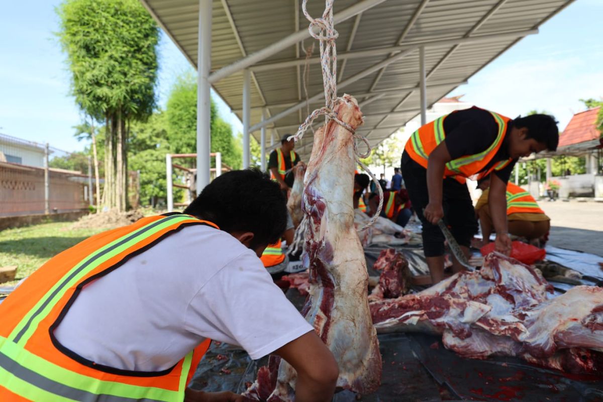 Berbagi berkah, PTPN IV Regional III Salurkan 20.000 paket daging kurban