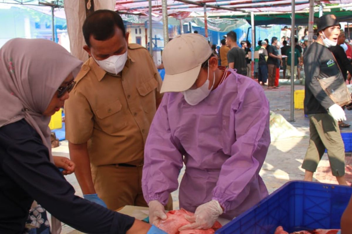 KPKP Kepulauan Seribu sebut seluruh daging kurban layak konsumsi