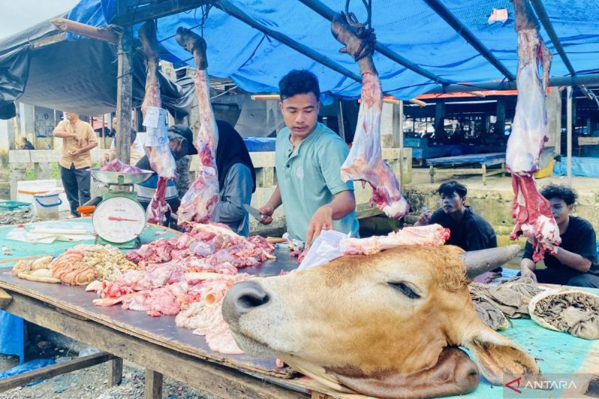 Pemkab Aceh Barat sebut kenaikan harga jual daging segar bersifat sementara, turun lagi setelah libur Idul Adha