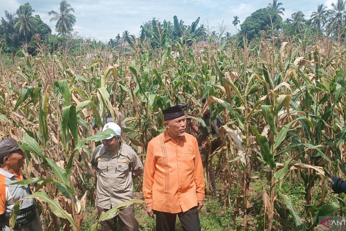 Gubernur Sumbar minta aset tanah daerah dimaksimalkan untuk PAD