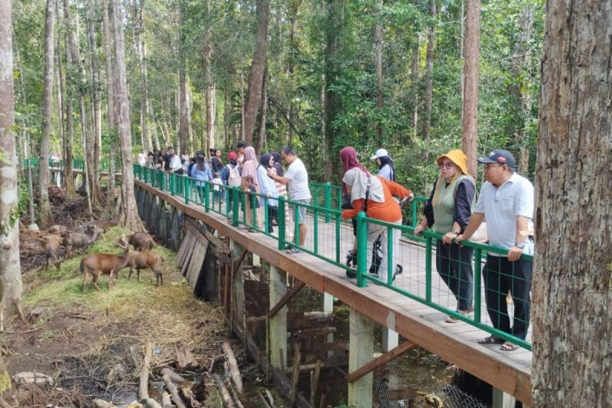 Wisata Hutan Nyaru Menteng Palangka Raya ramai dikunjungi wisatawan pada libur Idul Adha