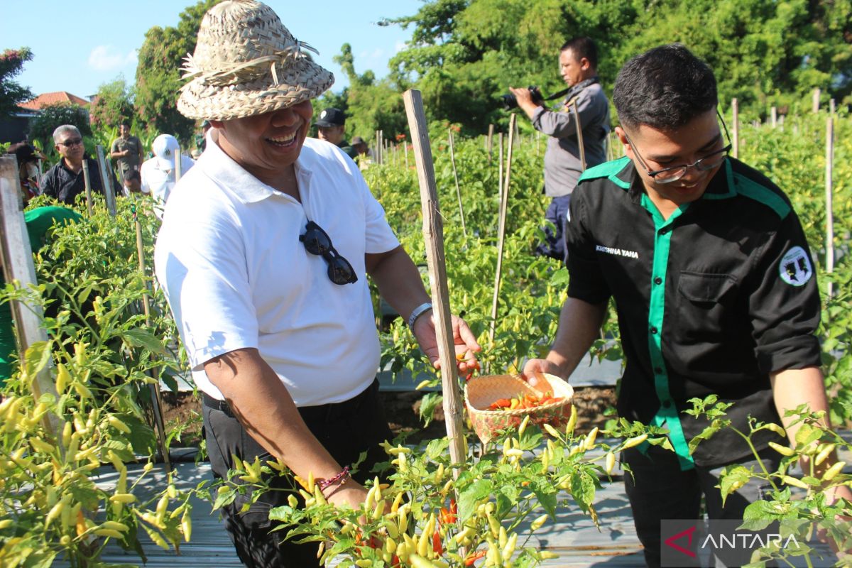 Bali panen komoditas pangan buat tekan inflasi