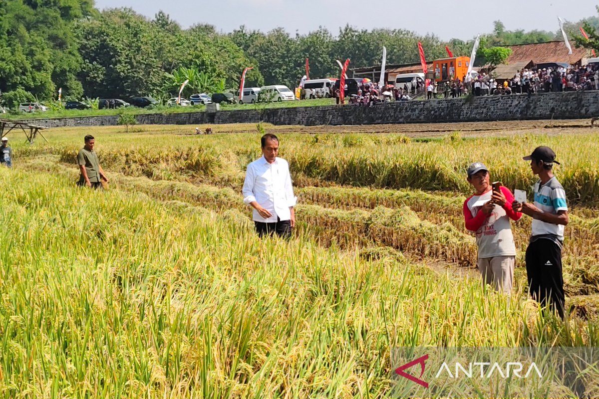 Jokowi meninjau pompanisasi di Desa Krendowahono Karanganyar, Jateng