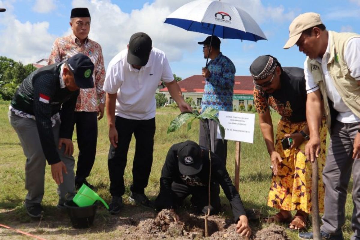 Majelis Lingkungan Hidup Muhammadiyah Kalteng laksanakan aksi tanam pohon