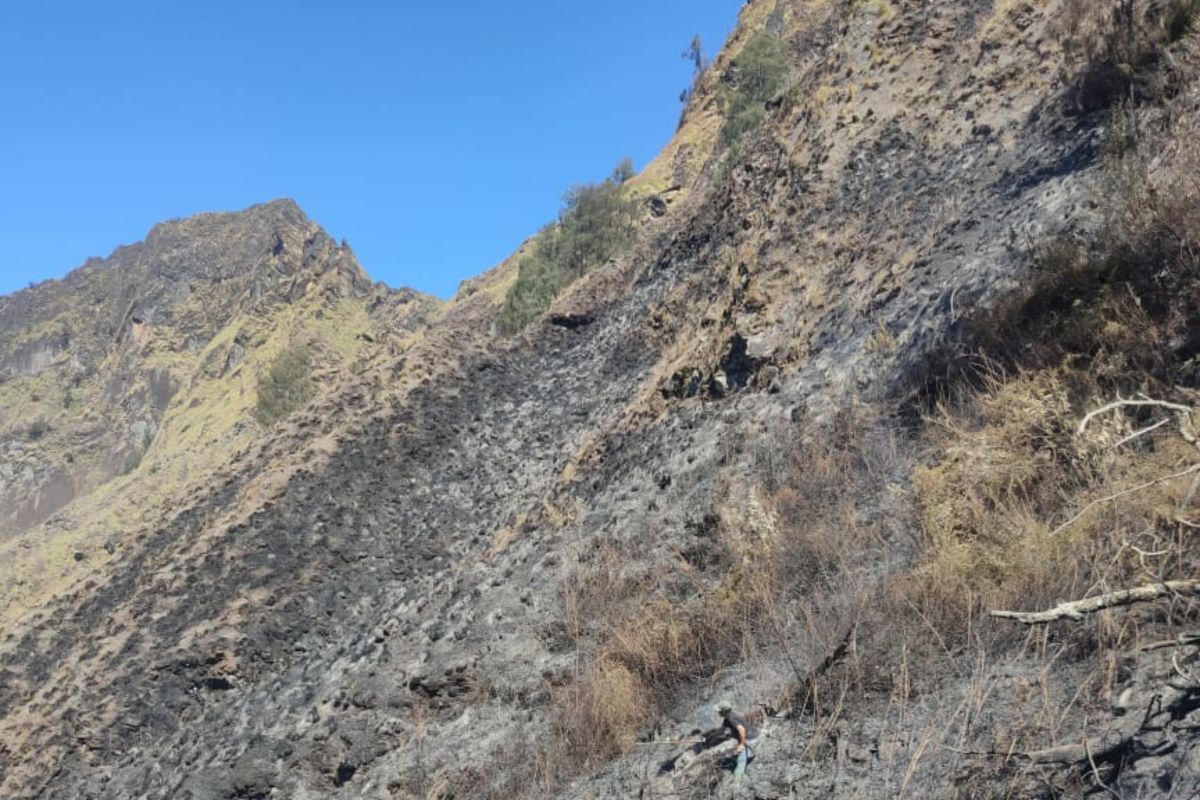 TNGR: Kebakaran lahan di kawasan Gunung Rinjani dipicu cuaca panas