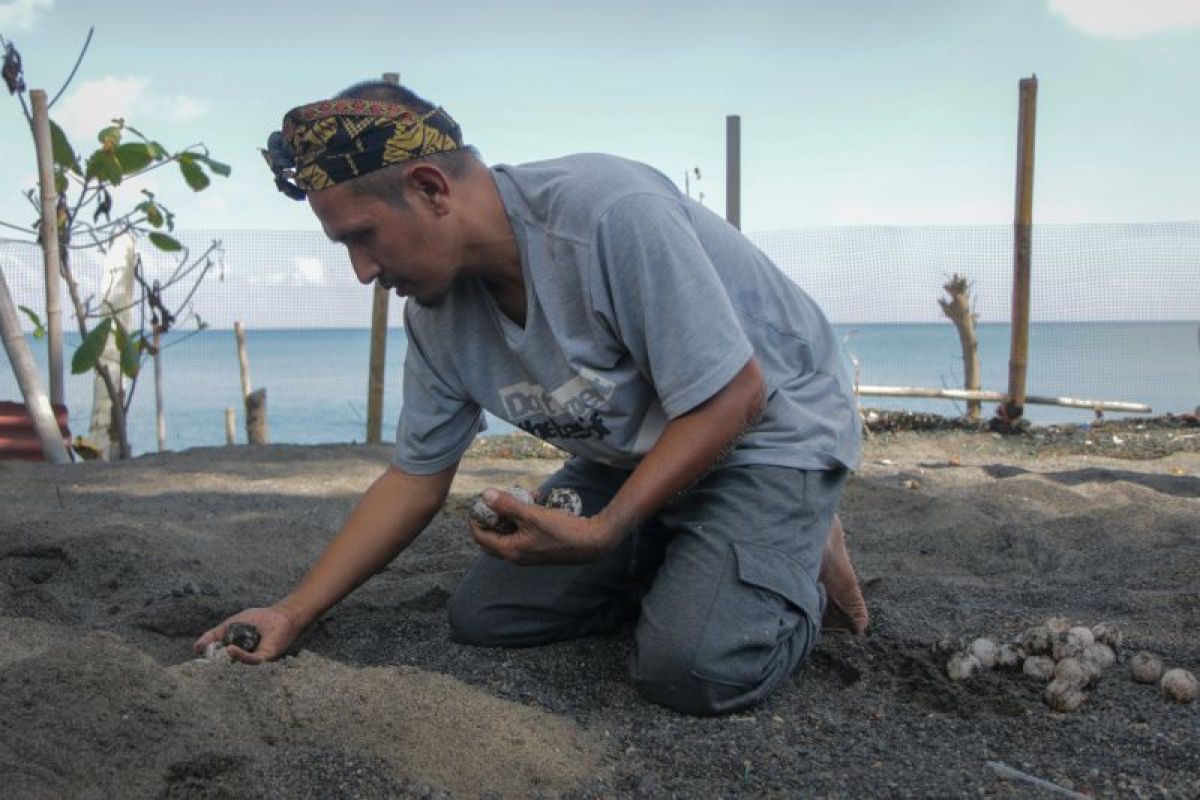 Aktivis pertanyakan upaya pelestarian ekosistem laut di pesisir Mataram