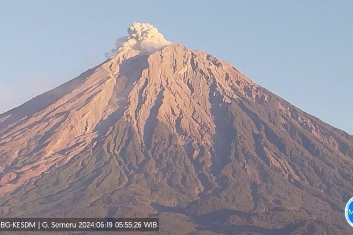 Gunung Semeru erupsi dengan tinggi letusan teramati 600 meter di atas puncak