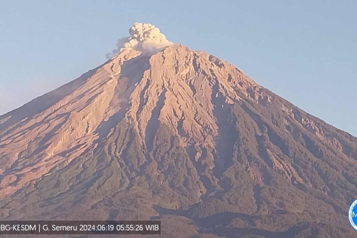 Gunung Semeru erupsi dengan tinggi letusan 600 meter di atas puncak