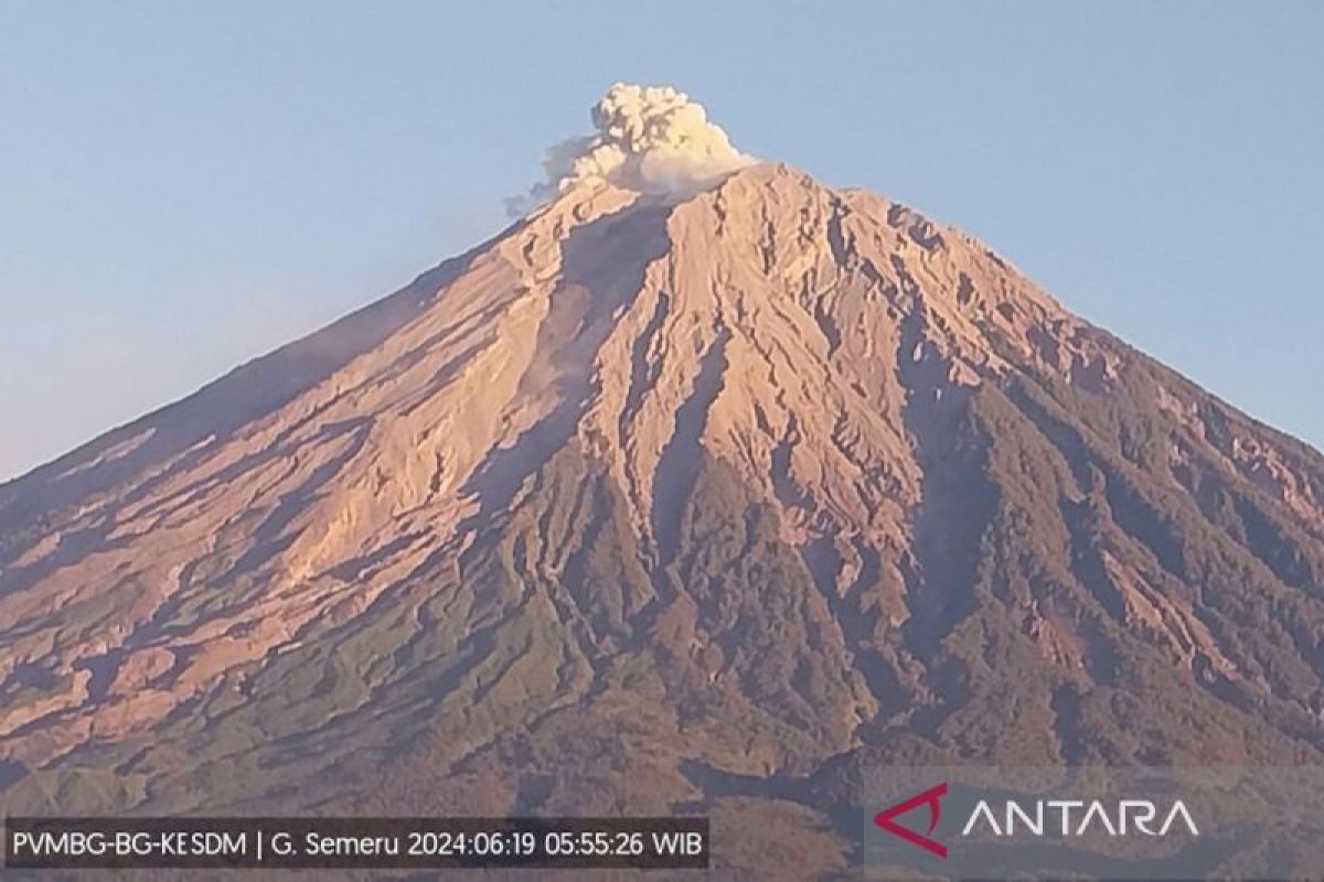 Gunung Semeru erupsi dengan tinggi letusan 600 meter di atas puncak