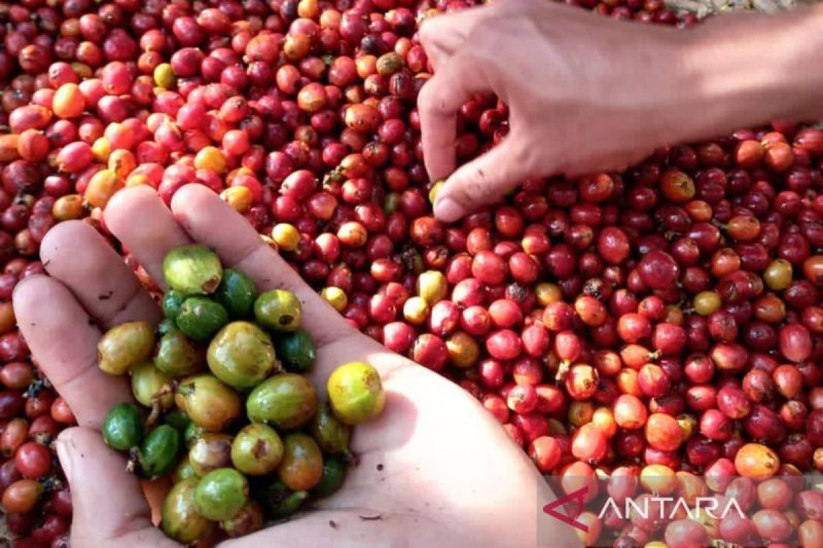 Pemkab Kuningan perkuat kelembagaan petani perkebunan