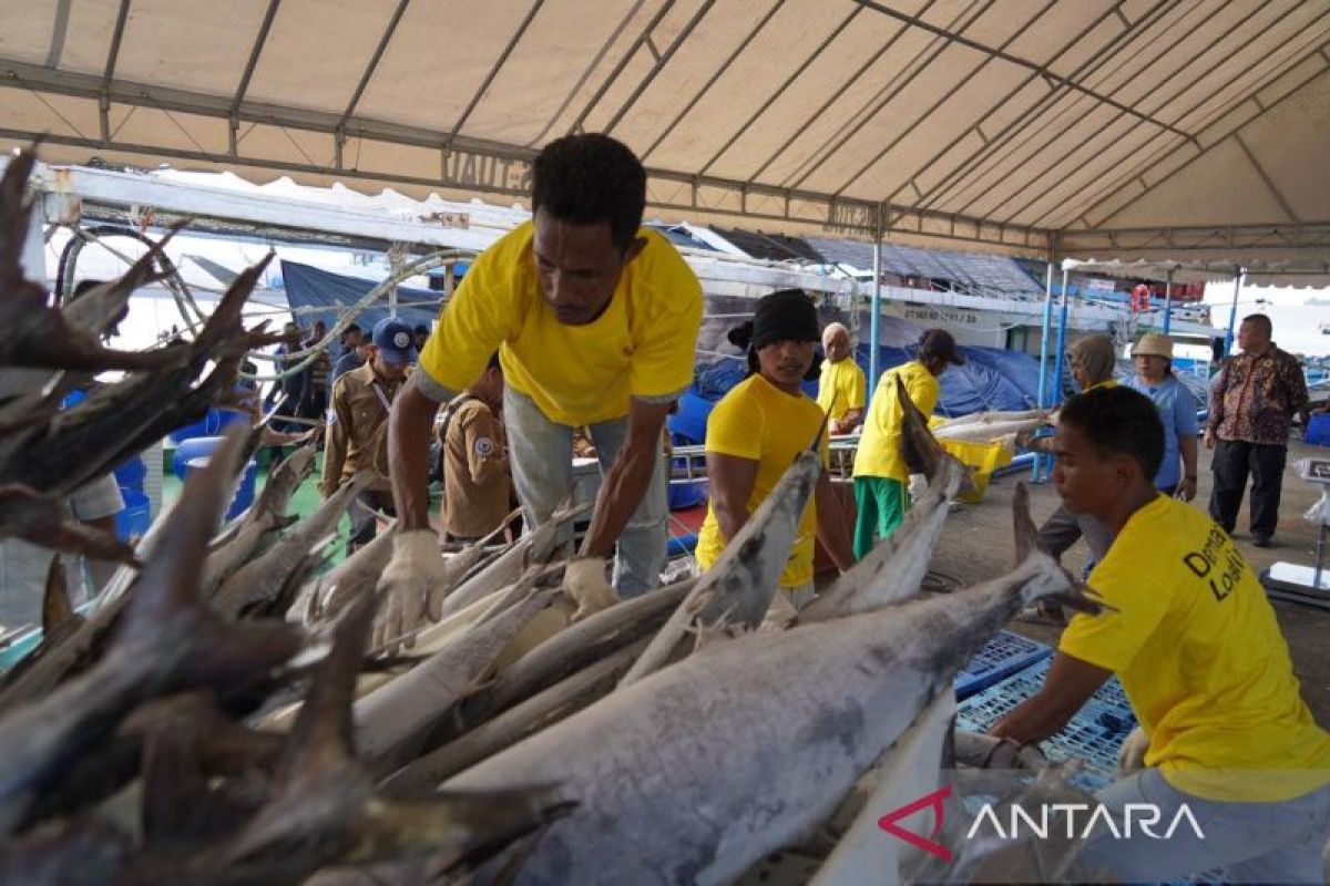 KKP siapkan strategi jaga keberlanjutan ikan tuna