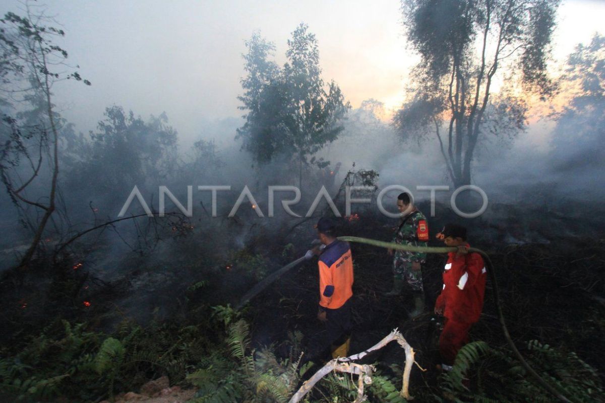 Karhutla di Sungai Apit Siak padam