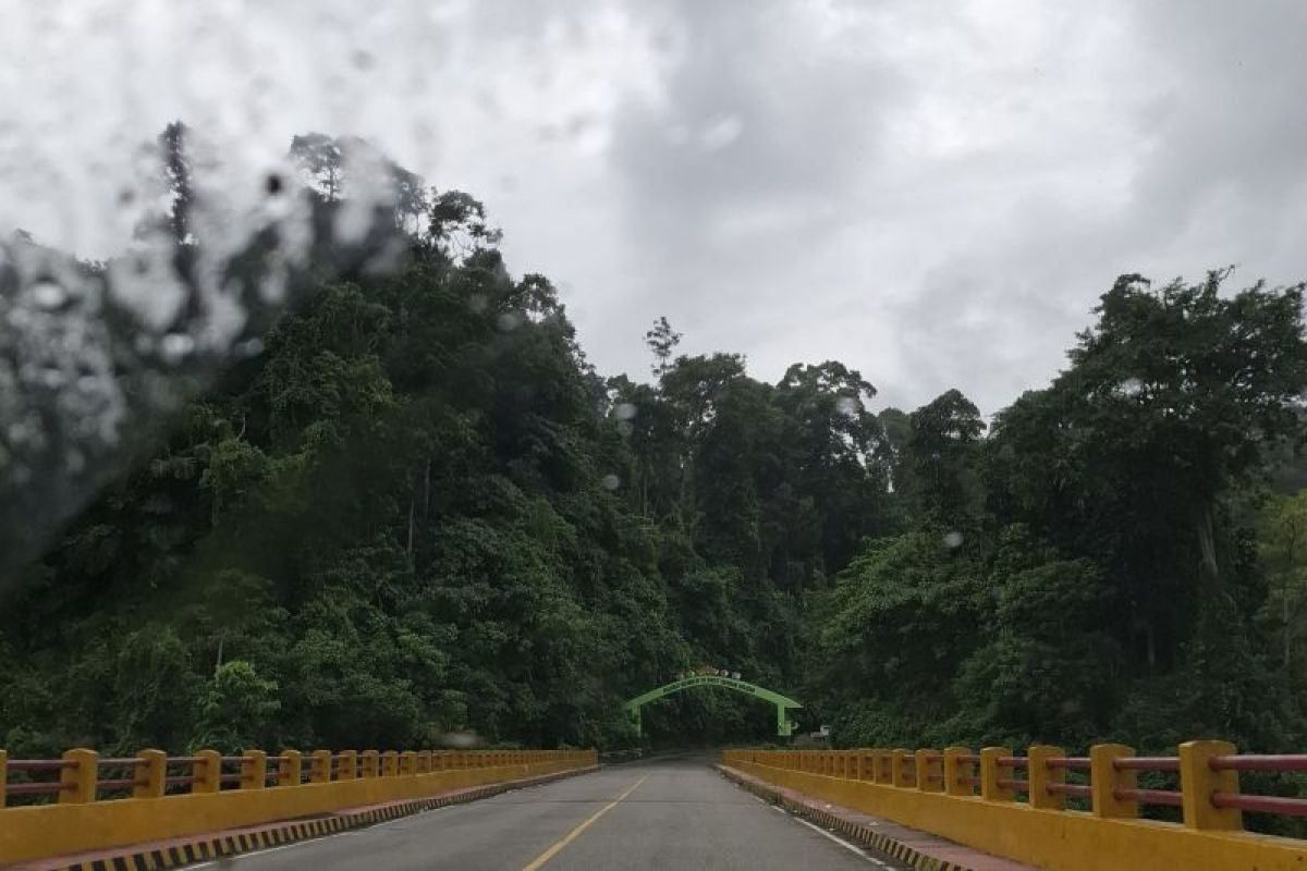 Dishut Lampung: 60 ribu hektare kawasan luar hutan direhabilitasi