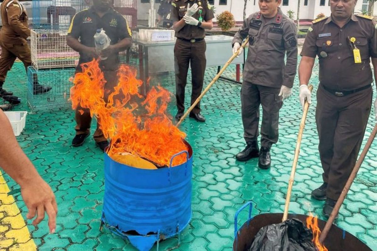 Kejari Kepulauan Aru musnahkan barang bukti berkekuatan hukum  tetap