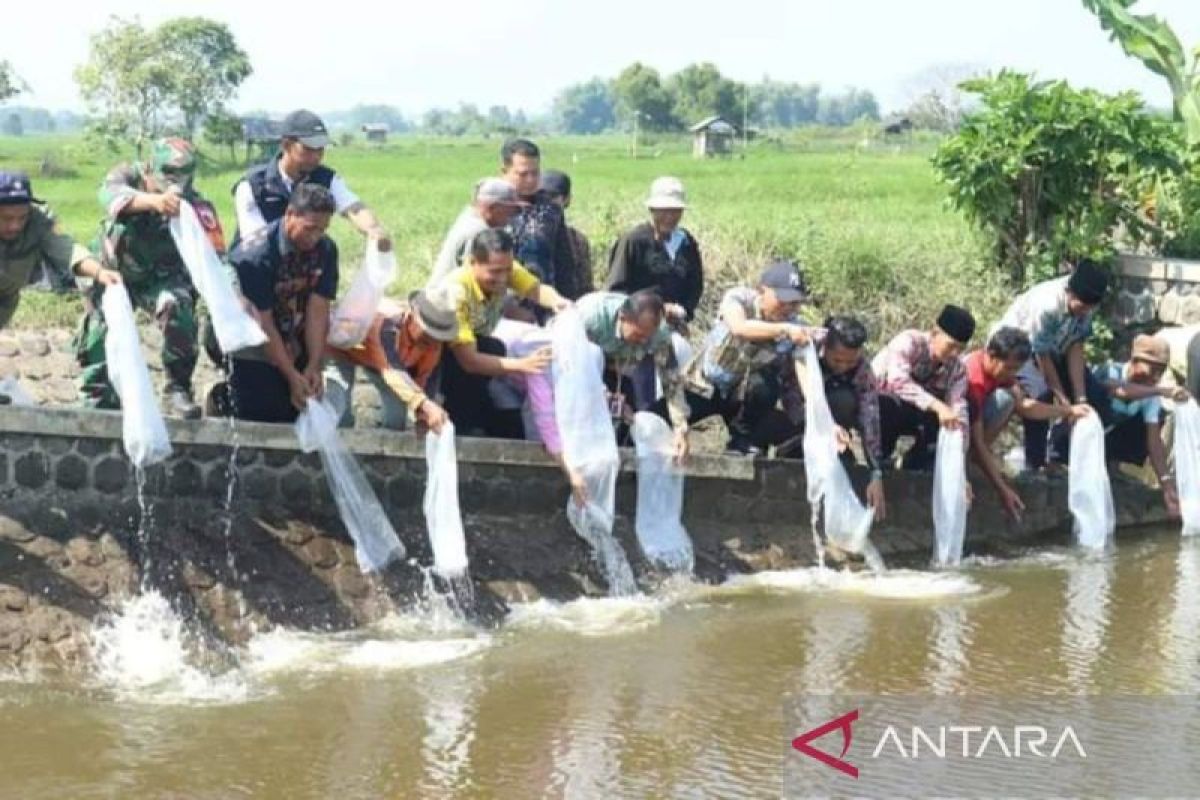 Pemkab Bangkalan tebar 65 ribu bibit ikan jaga ekosistem sungai