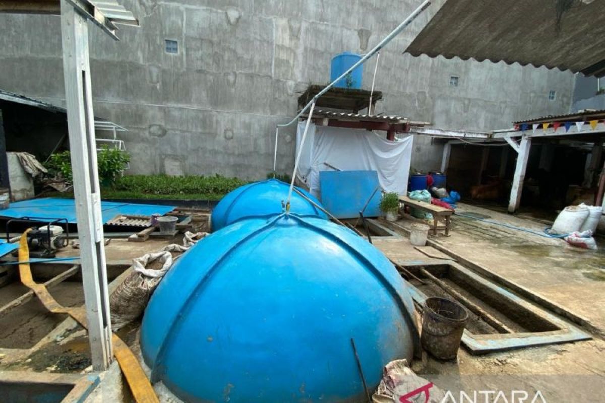 Biogas jadi solusi tuntas atasi limbah peternakan di Cikoko