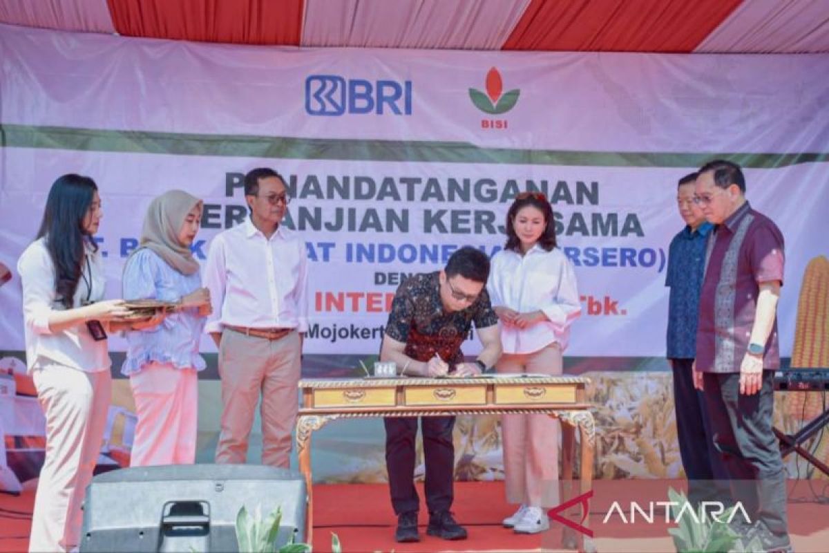 BRI kucurkan kredit pembiayaan untuk alat pertanian