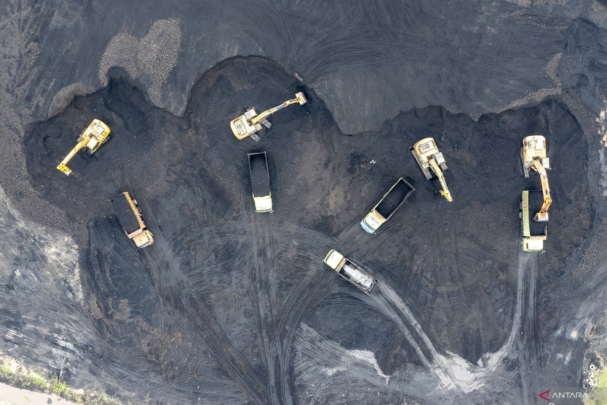 Indonesia Akan Tetap Gunakan Batubara di Tengah Kekhawatiran Keamanan Energi