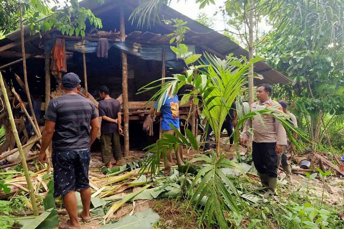 Kawanan gajah liar rusak rumah dan kebun warga Aceh Timur