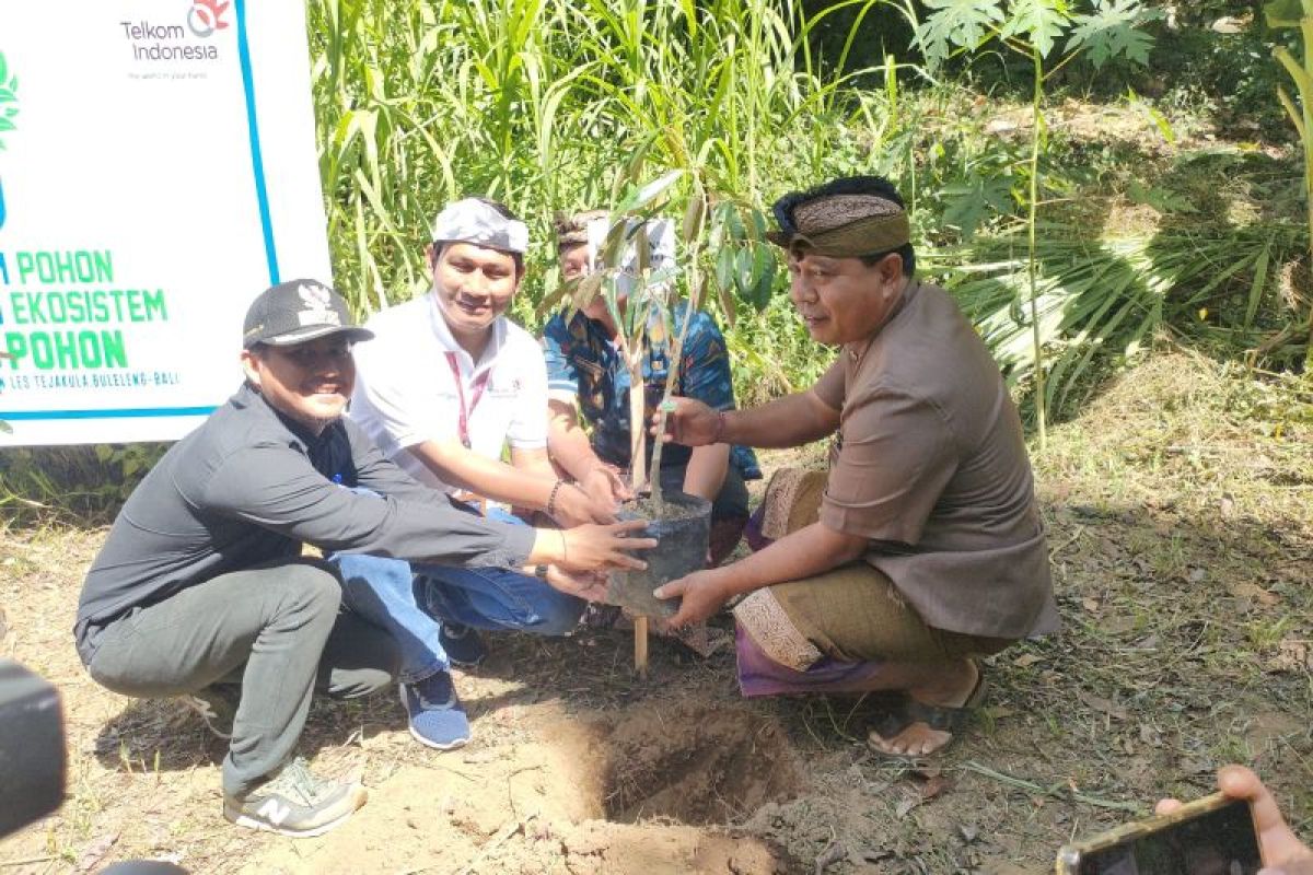 Telkom Indonesia berikan 10 ribu bibit pohon untuk desa di Buleleng