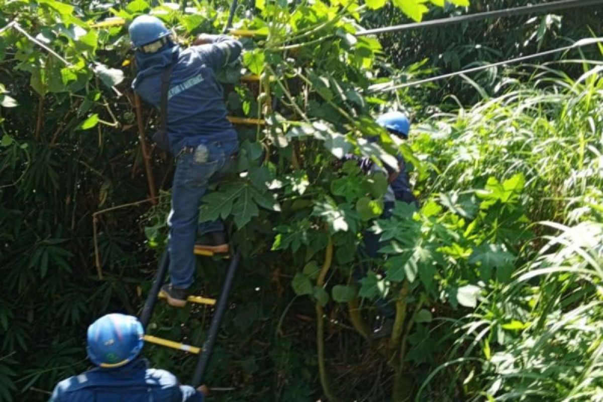 PLN Icon PLus lakukan patroli dan perapihan utilitas demi keandalan jaringan telekomunikasi