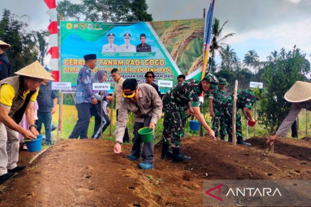 Distankan Rejang Lebong lakukan penanaman padi gogo seluas 10 hektare