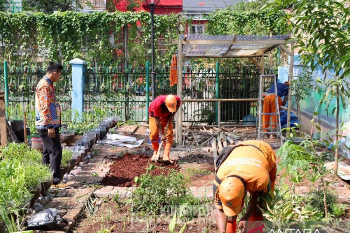 Pemkot Jakpus manfaatkan lahan kosong untuk ketahanan pangan