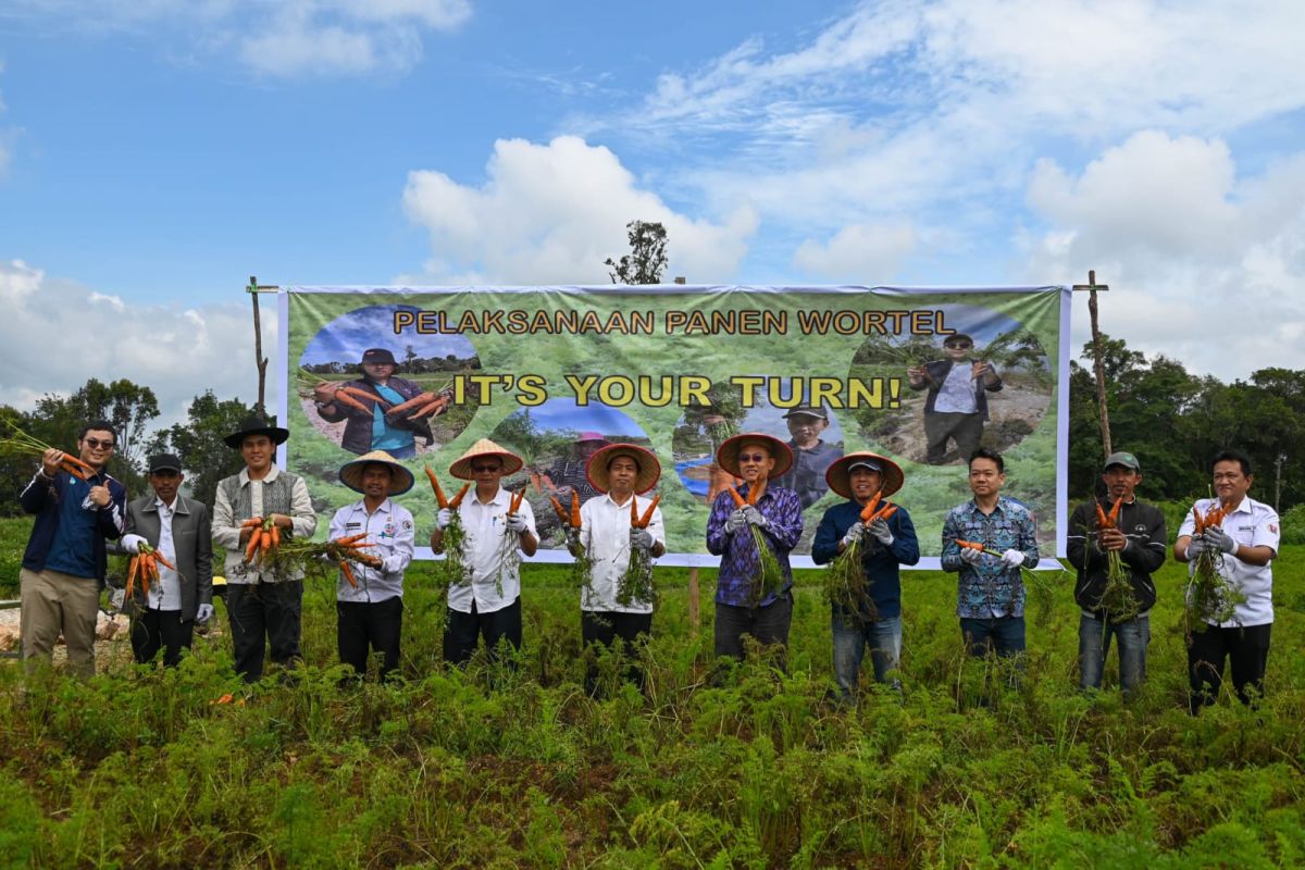 TETO: Taiwan Technical Mission adakan panen, pameran hasil pertanian