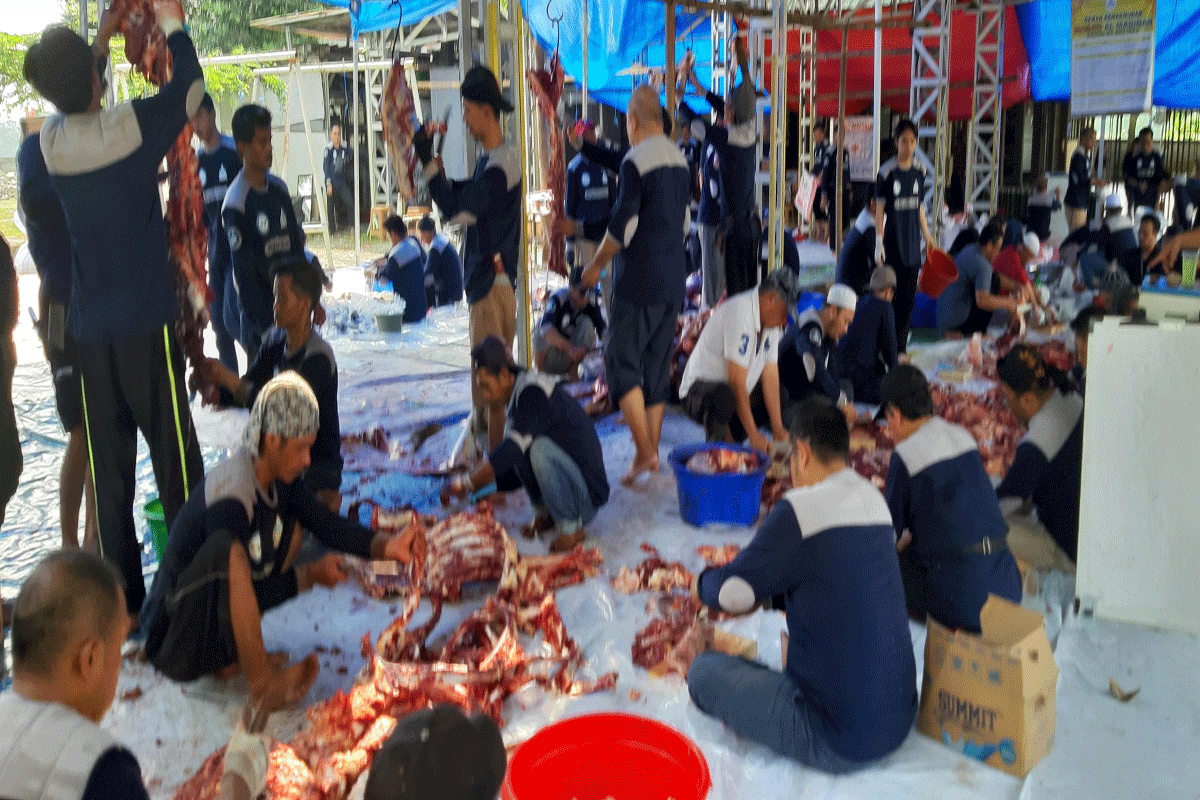 Idul Adha 2025: Panduan pembagian daging kurban sesuai syariat Islam