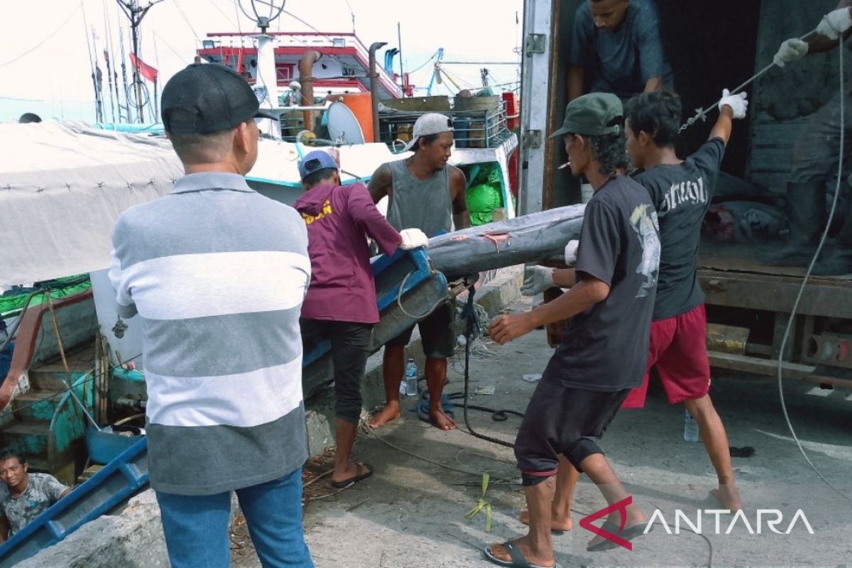 Disperindag jajaki usaha home industri ikan tuna kaleng di Biak