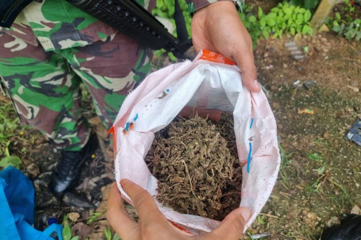 Satgas Yonif 122/TS temukan ganja 1,2 kilogram jalur perlintasan ilegal