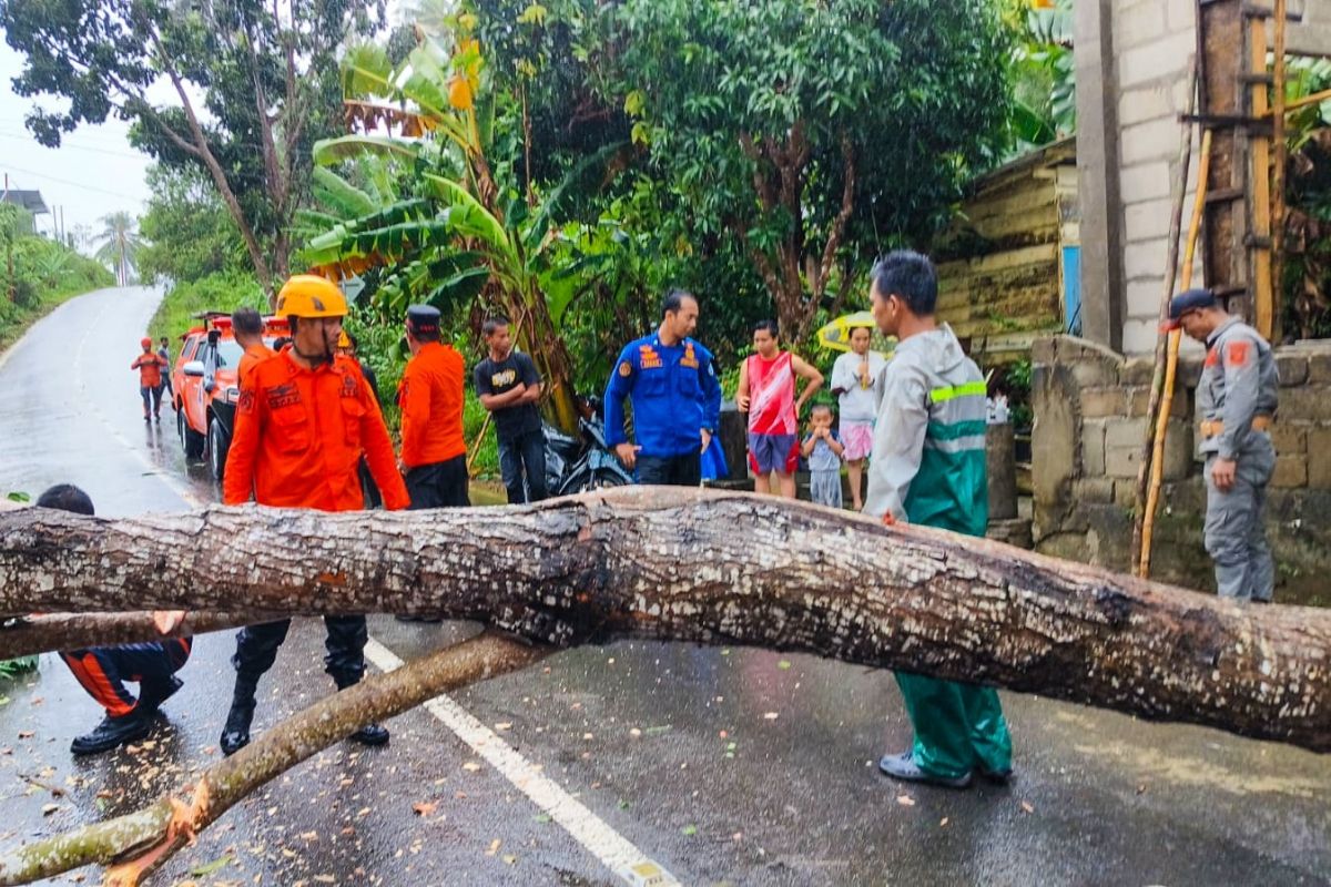 Cuaca ekstrem picu pohon tumbang hingga rumah roboh ke laut di Anambas