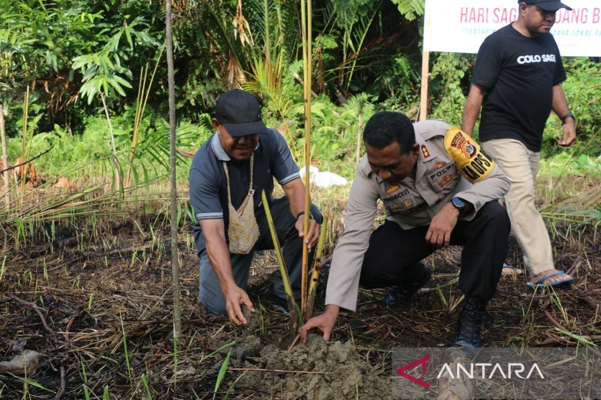 Polres Jayapura-Komunitas Lingkungan menanam pohon sagu kawasan Cycloop