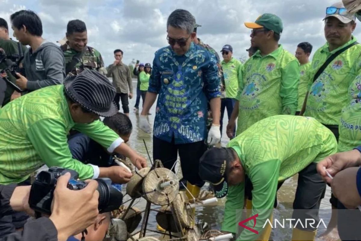 Pemkab Kutai Timur gencarkan aksi penanaman terumbu karang di Pantai Teluk Lingga