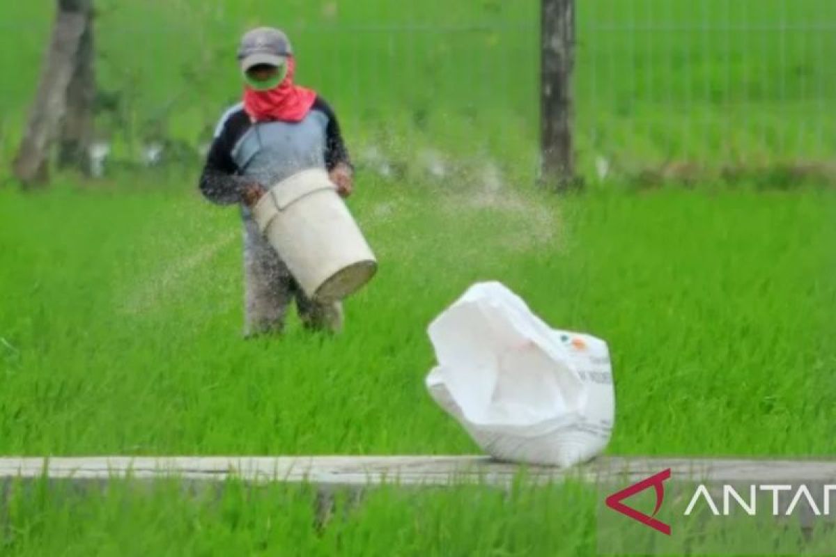 Petani Karawang sudah bisa manfaatkan tambahan alokasi pupuk subsidi