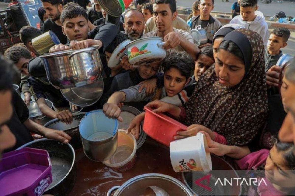 FAO peringatkan Gaza berisiko tinggi alami kelaparan akut
